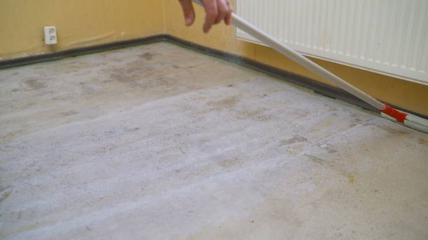 Mold Mitigation Services