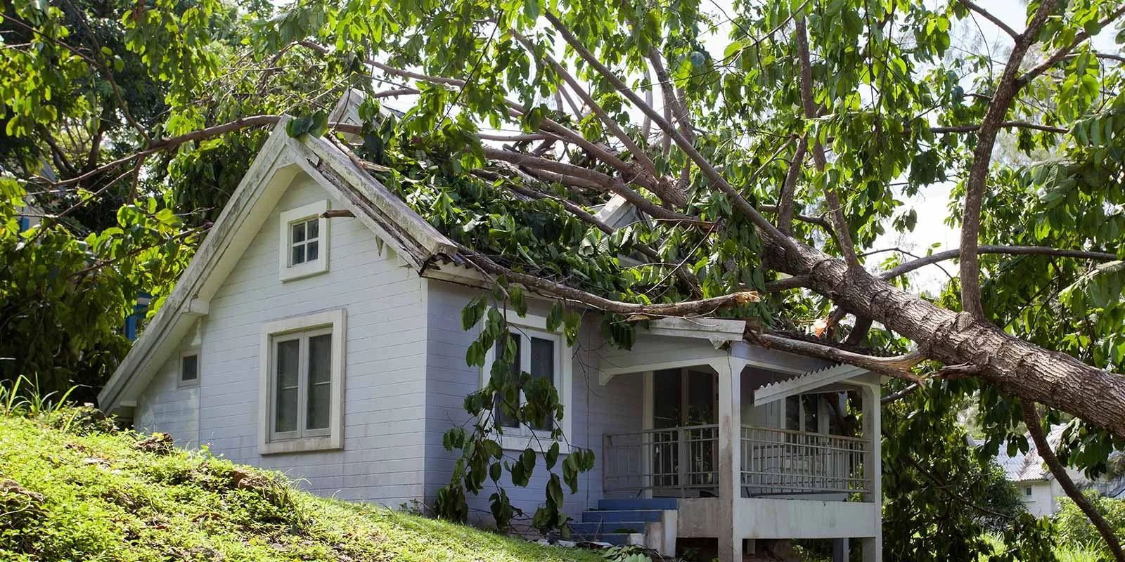 Debris Removal & Exterior Repairs