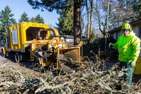 Trusted Emergency Storm Cleanup Services in Elizabeth, CO