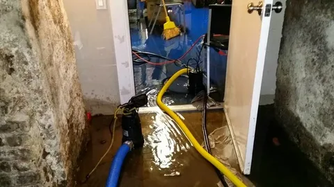 Need Fast Emergency Water Removal Services in Parker, CO? Who Can Help