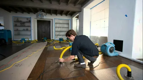 Professional Emergency Water Removal in Littleton, CO