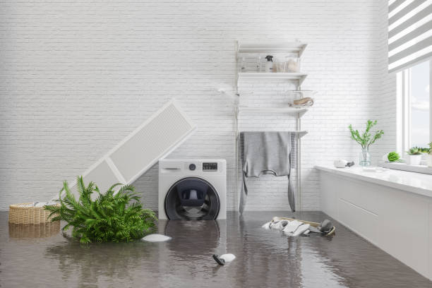 Reliable Flood Damage Cleanup in Castle Rock CO