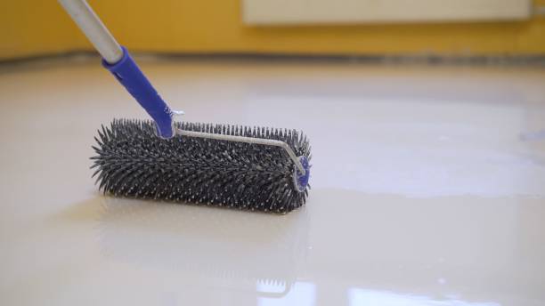 Reliable Mold Mitigation Services in Parker CO