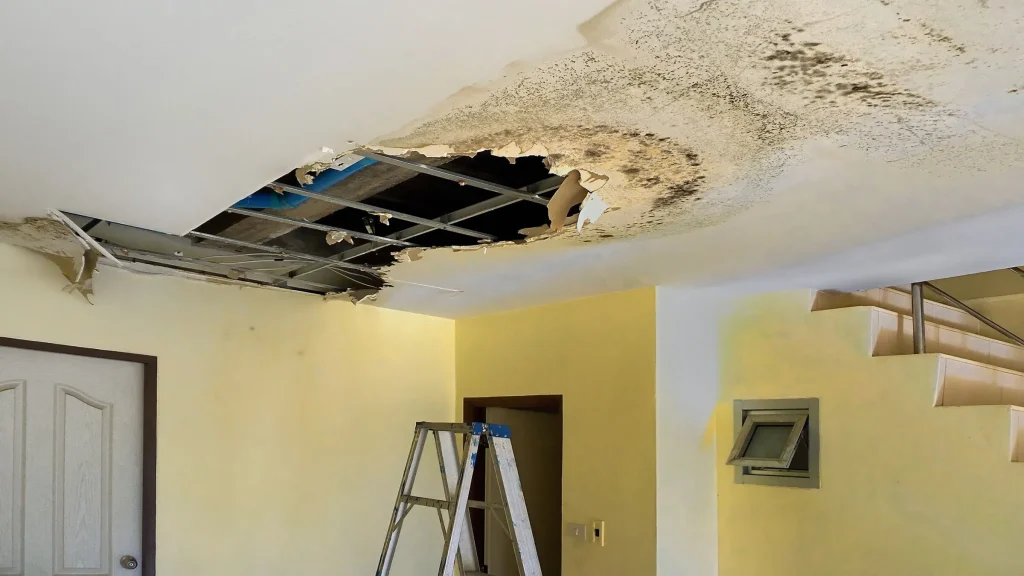 Water Damage Restoration