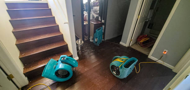 Reliable Water Restoration Services in Castle Rock CO