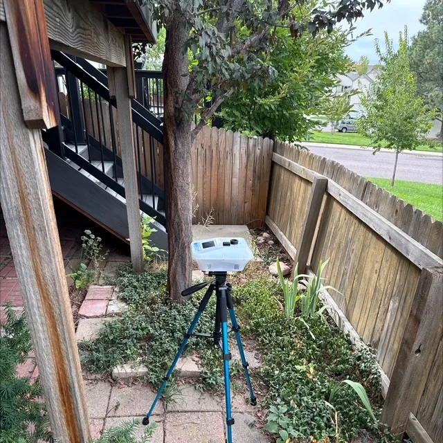 certified mold mitigation services in Aurora