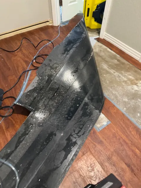 emergency restoration services