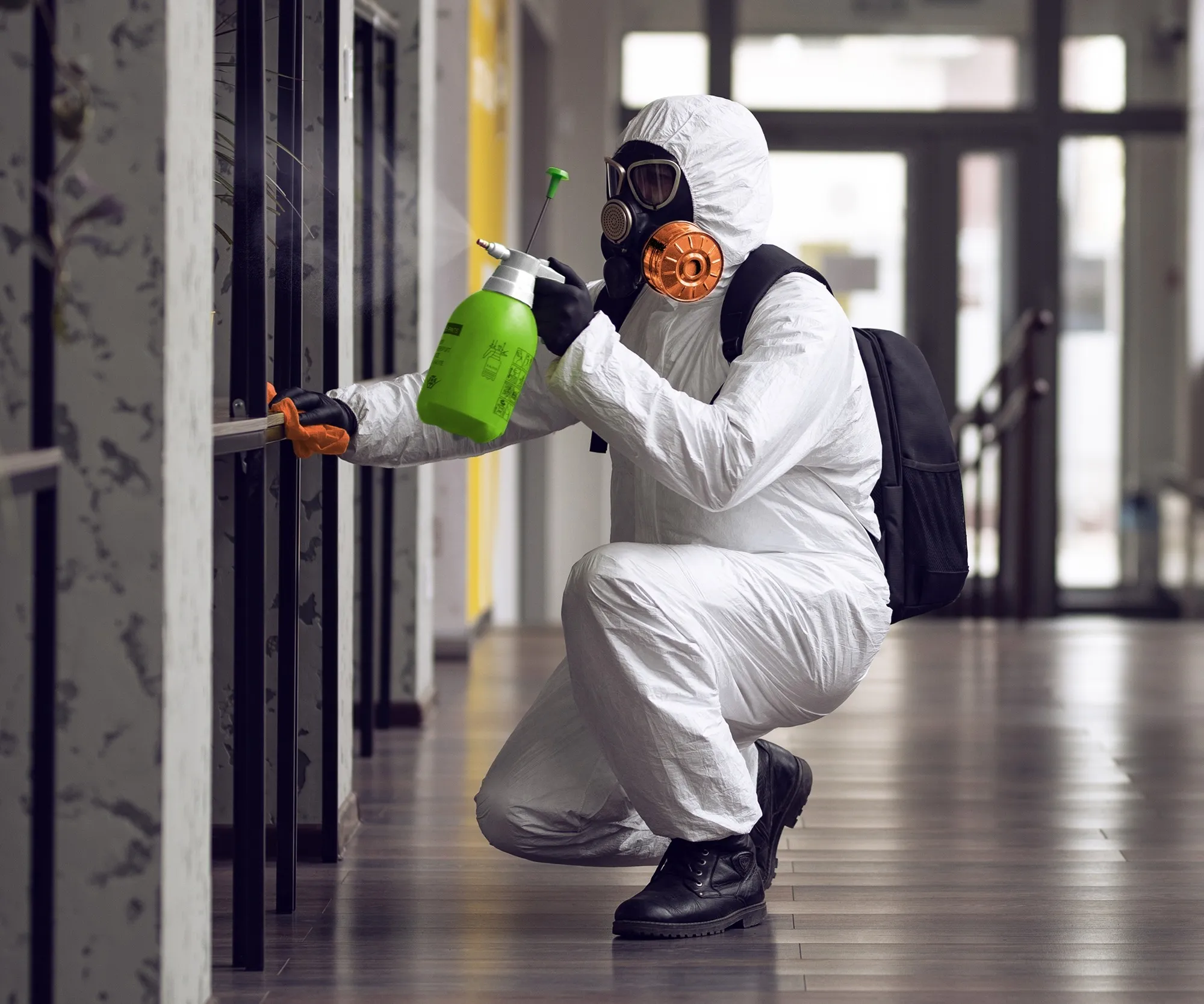 mold damage restoration